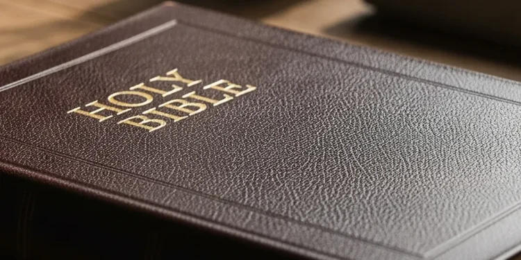 Semua yang Perlu Kamu Tahu Tentang Reparasi Buku – 2025 Edition